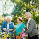 3 female seniors enjoying outdoor activities
