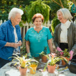difference between assisted living and independent living