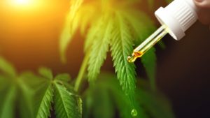 CBD Use in Older Adults & Seniors for Parkinson’s