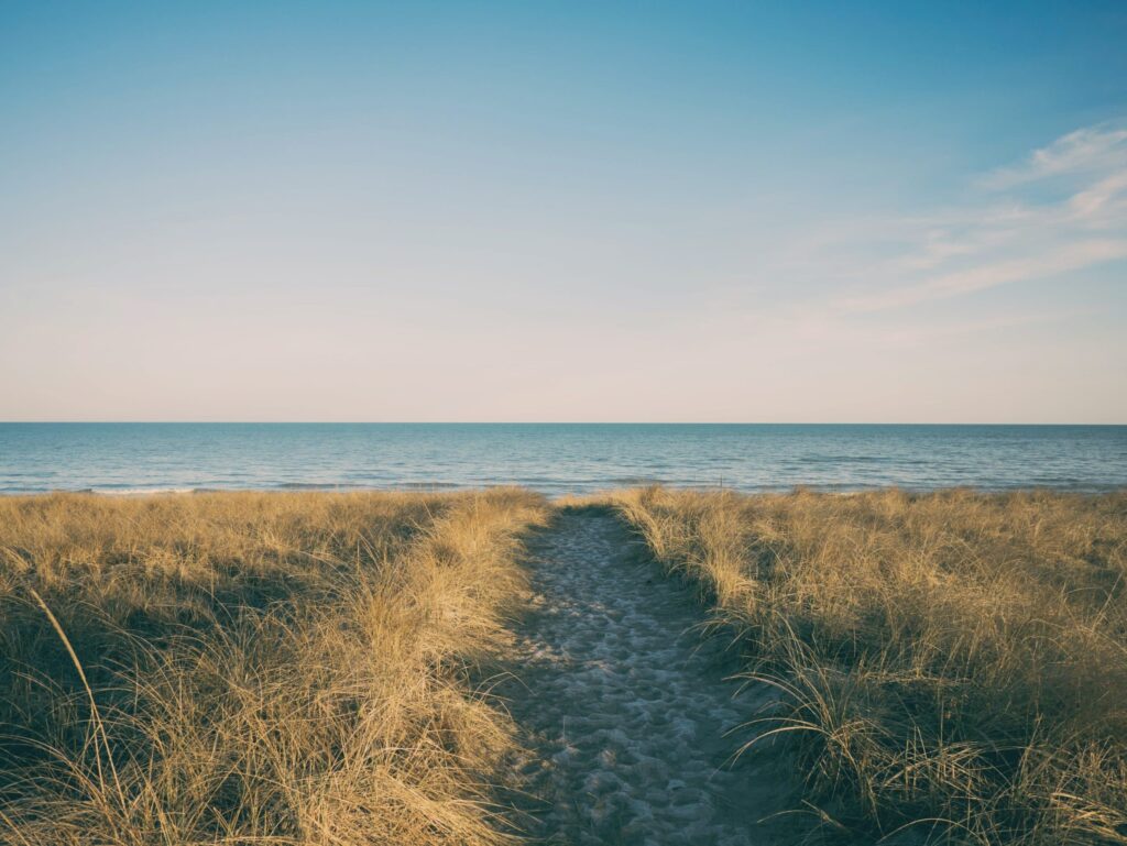 Cape Cod grassy dunes and ocean