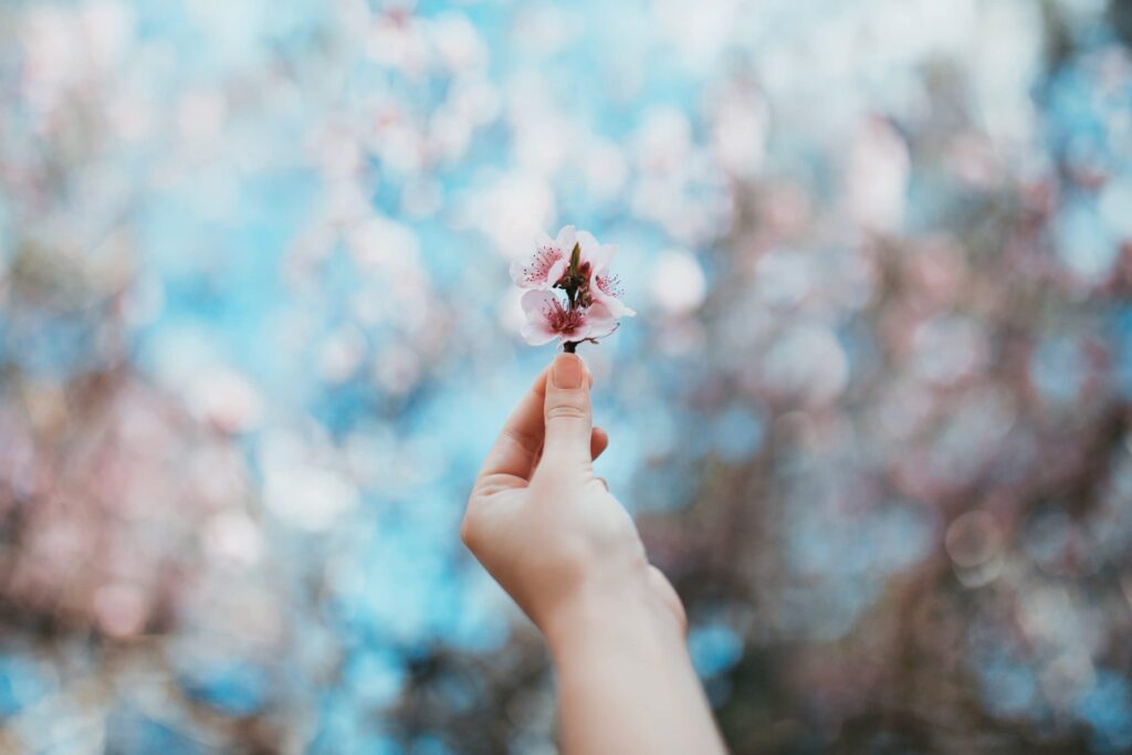 Hand holding an early spring fllower bud