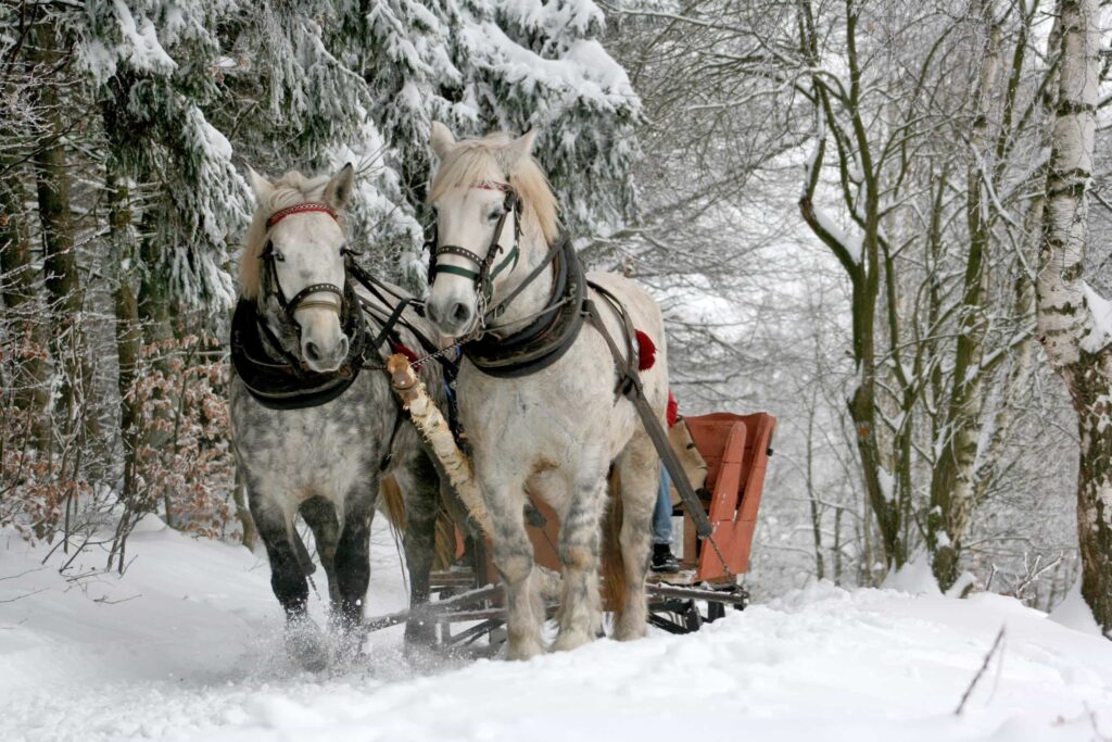 Bringing Back the Best Old-Fashioned Holiday Traditions