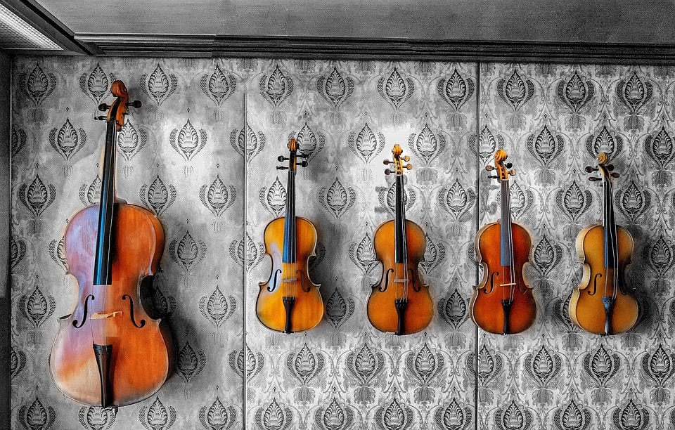 cello and violins hanging on a wall