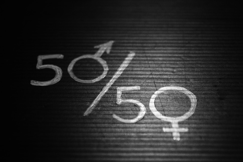 Women's and Men's Equality 50-50 sign